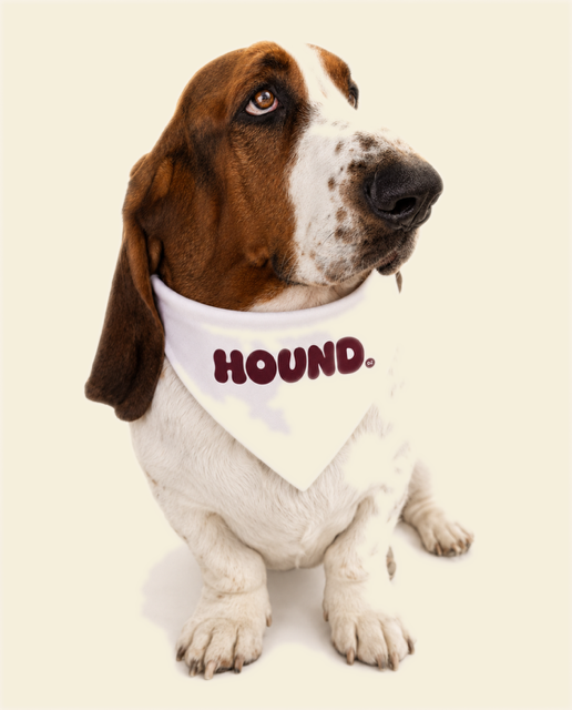 George's Signature Bandana